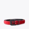 Maddox Belt